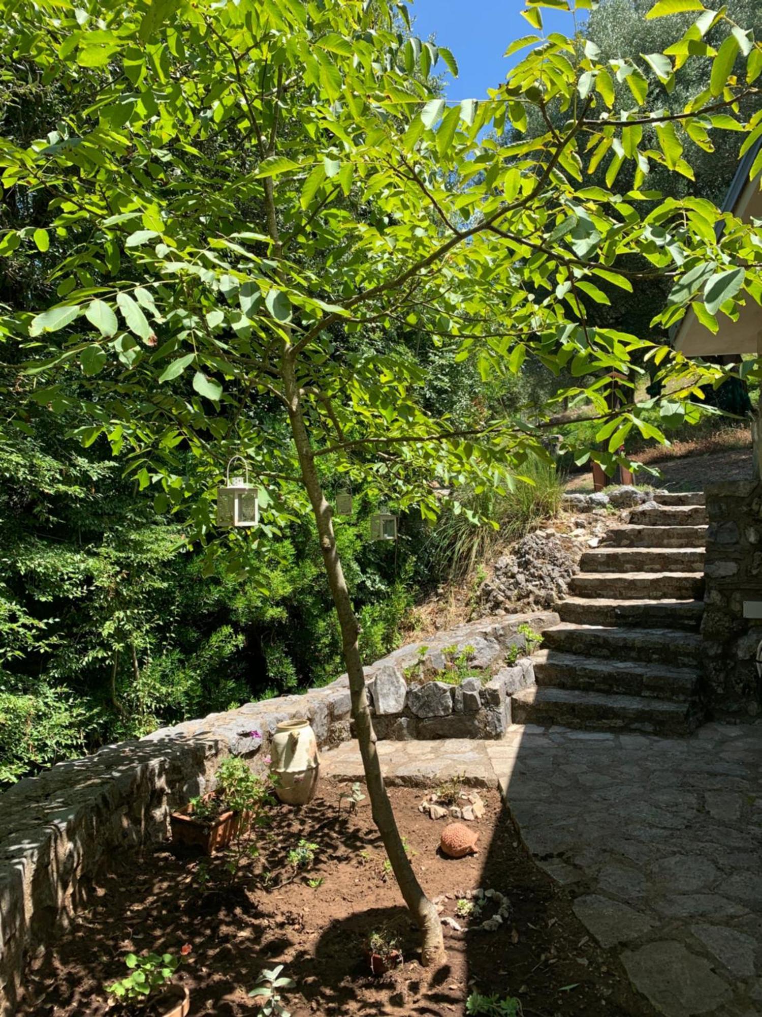I Suoni Di Valle Martina Poderia Exterior photo